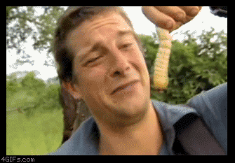 
Eating_beetle_larvae

