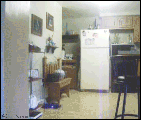 
Buttered_floor_prank
