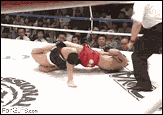 
MMA_celebration_cornerman
