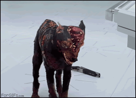 
Doghead
