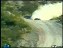 
Rallycar_hits_horse
