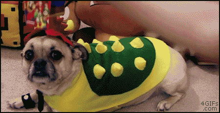 
Mario_stomps_Bowser_pug
