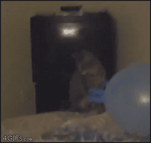 
Cat_balloon_glove
