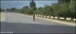 
Truck_suicide
