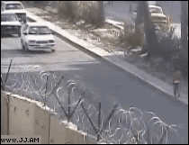 
Kid_hit_by_car
