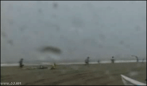 
Kite_Surfer_vs_Faye
