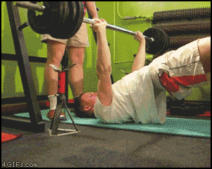 
Weightlifting_dog
