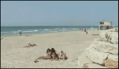 
Beach_showoff_fails
