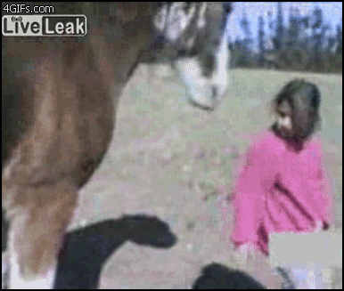 
Horse_hairpull
