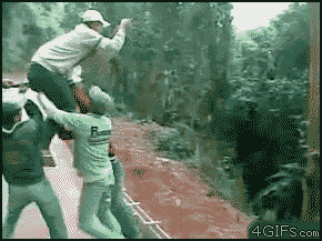 
Tarzan_vine_swing
