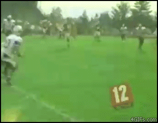 
Football_catch_reception
