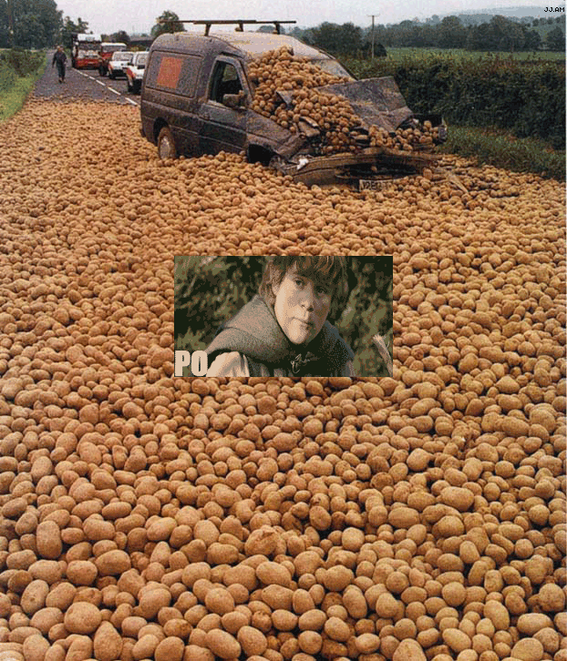 
Potatowned
