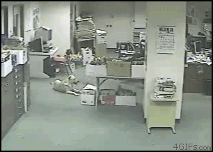 
Dog_senses_earthquake

