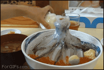 
Seafood_Japan
