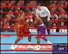 
Boxing_referee_dodge
