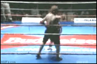 
Boxer_flees
