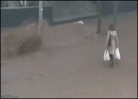 
Flood_pole_face
