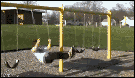 
Swing_jump

