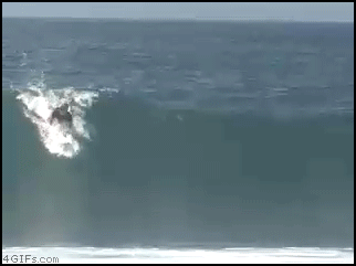 
Surfing_Rodeo_flip
