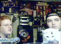 
CatFreaksOut
