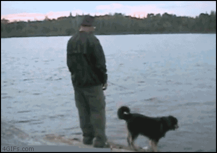 
Fisherman_pushes_dog_lake_karma
