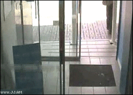 
Stroller_vs_car
