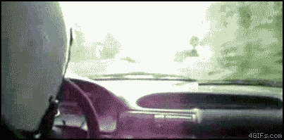 
Rally_Tree_windshield
