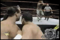 
Wrestling_rope_slip
