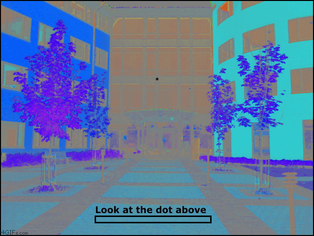 
Walls_illusion
