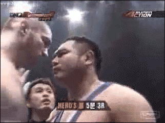 
Gay_kiss_knockout

