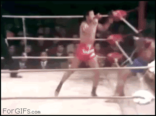 
Kickboxing_Tiger_KneeKO
