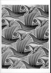 fishsailboatvisualillusion