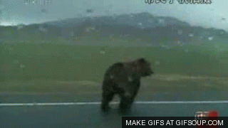 GIF č. 411229