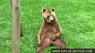 GIF č. 411225