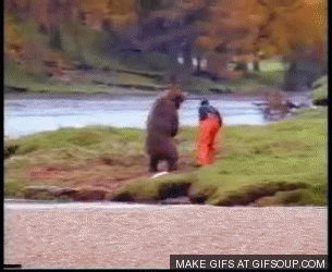 GIF č. 411236
