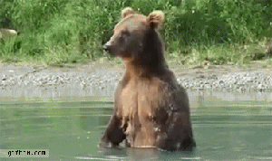 GIF č. 411223