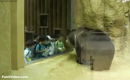 GIF č. 411228
