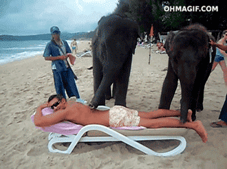 GIF č. 347973