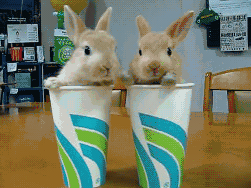 GIF č. 347966