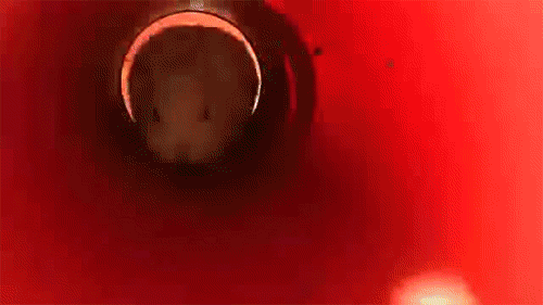 GIF č. 347961
