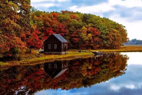 Obrázek č. 1324778