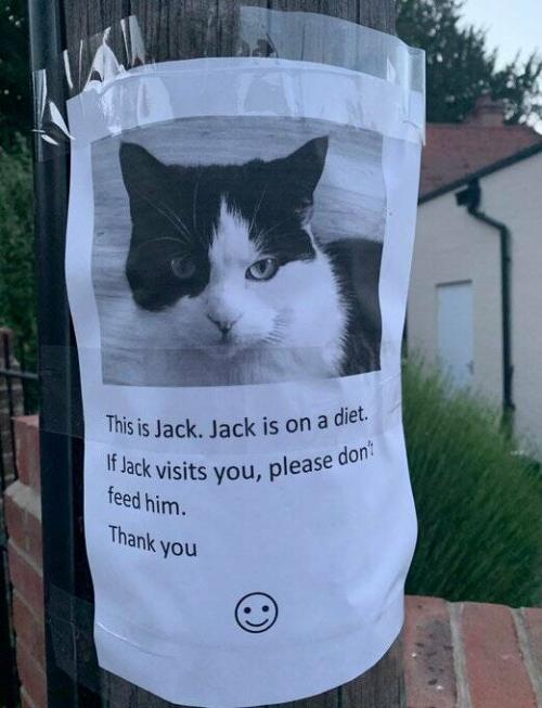 Obrázek č. 1328226