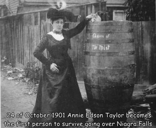 Obrázek č. 1328224