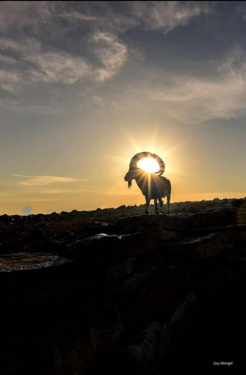 Obrázek č. 1328216