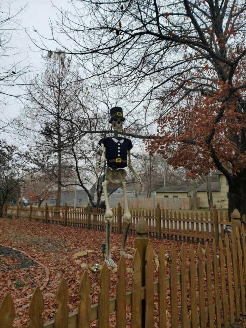 Obrázek č. 1328208