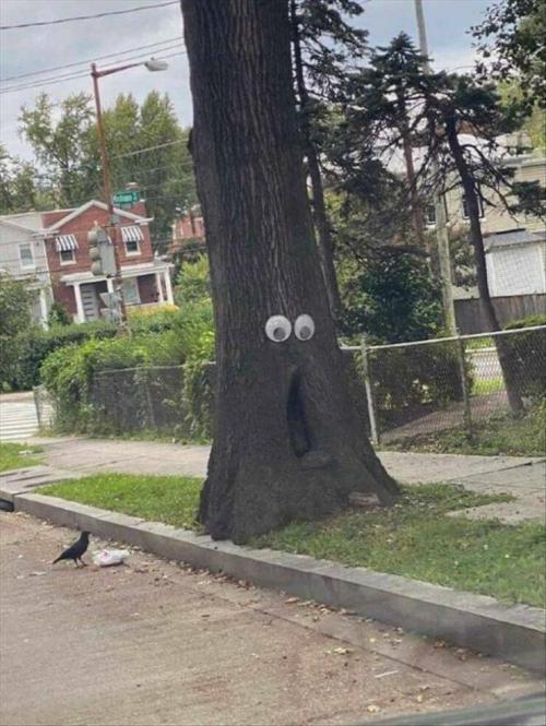 Obrázek č. 1328197