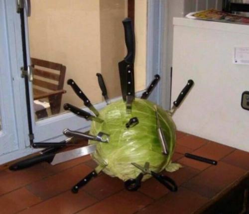 Obrázek č. 1332056