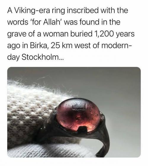 Obrázek č. 1332065