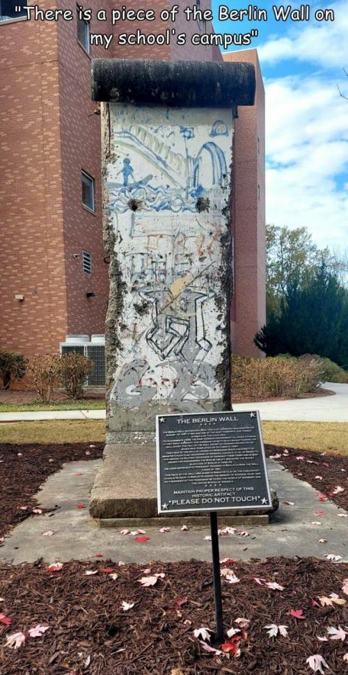 Obrázek č. 1332086