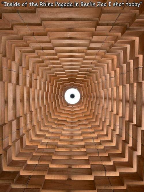 Obrázek č. 1332064